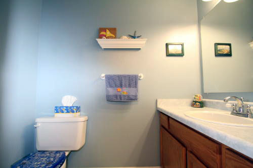 Lower level fireplace